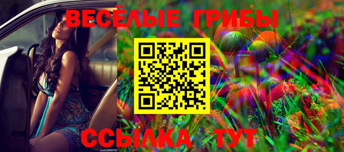 Галлюциногенные грибы ЛСД Добрянка