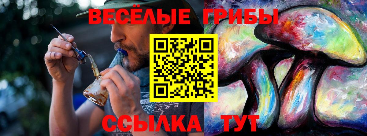 Галлюциногенные грибы Magic Shrooms  Вход с VPN  Добрянка  Галлюциногенные грибы GOLDEN TEACHER 